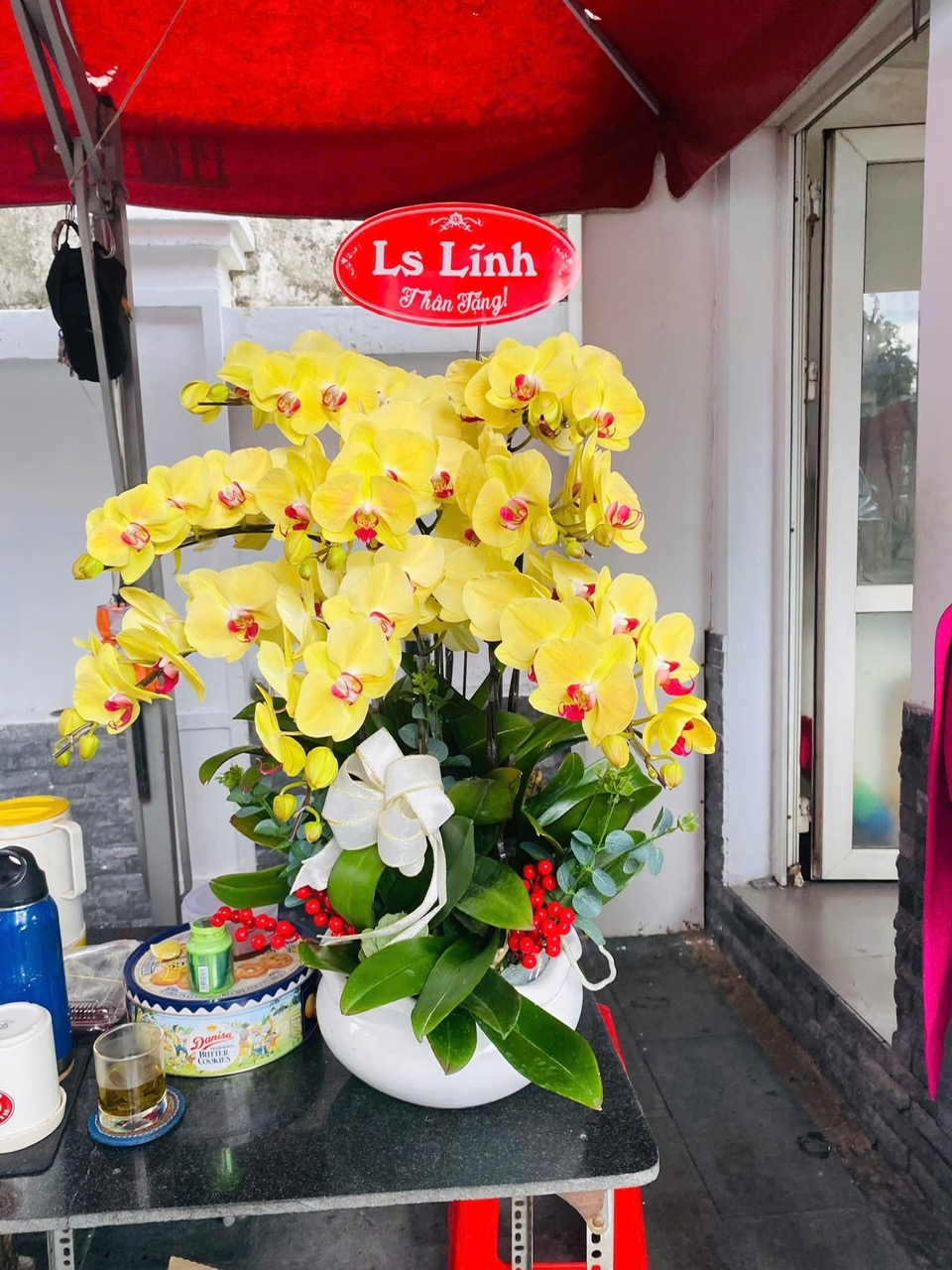 Chậu Lan Vàng Mỹ Nhân